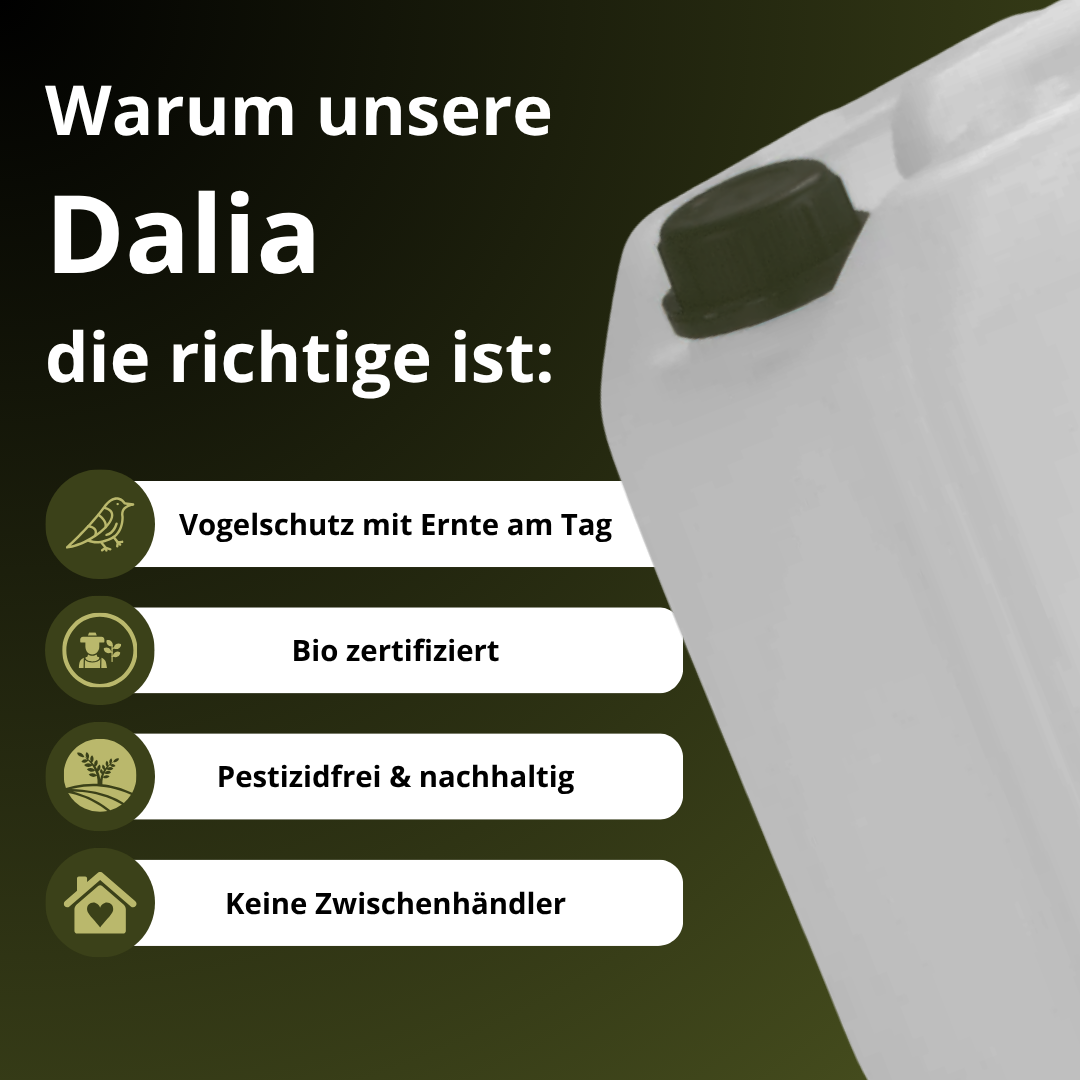 Dalia Robust Organic Olive Oil – Canister Key Features – Iline Organic