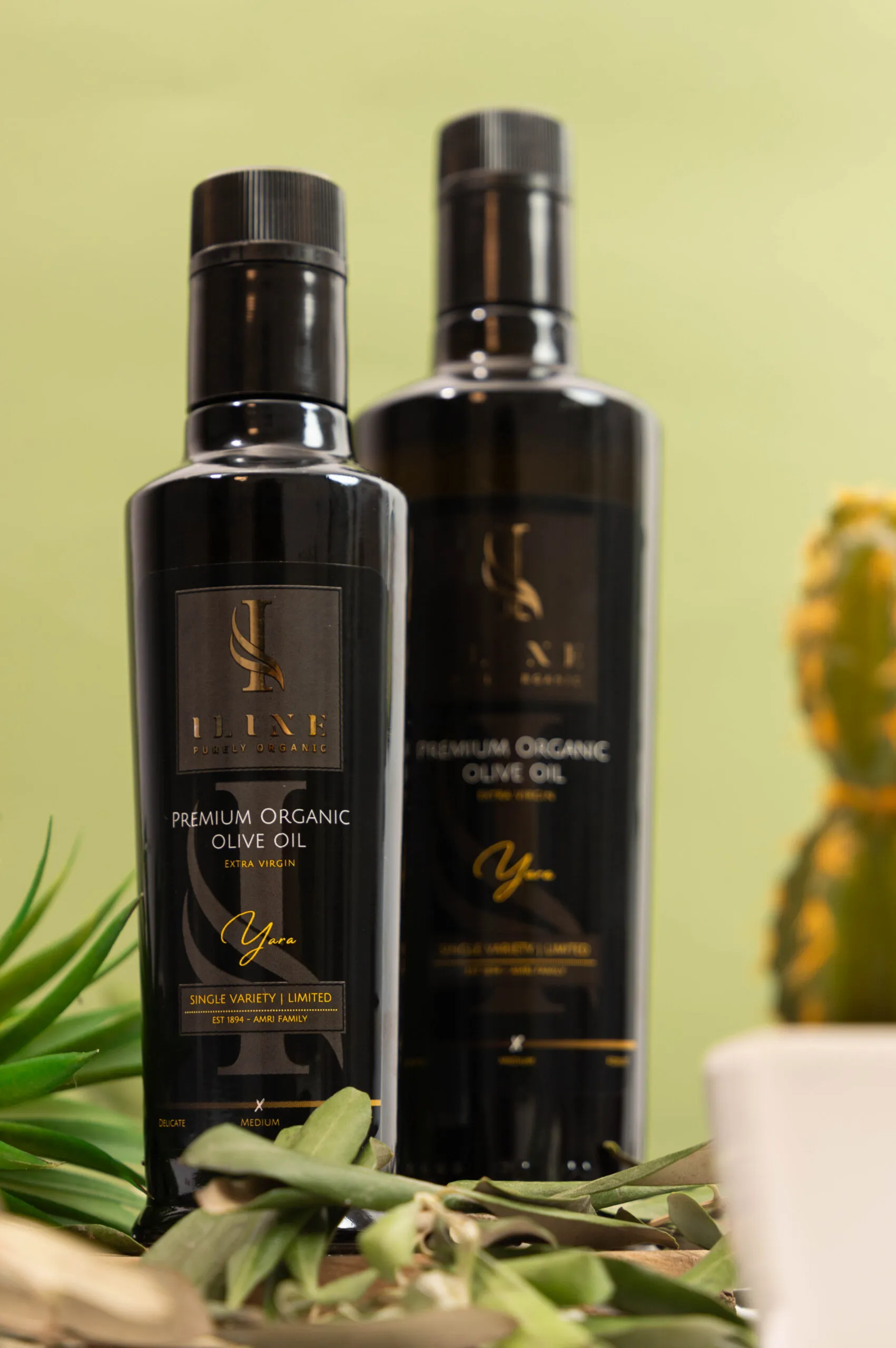 Zwei Flaschen Iline Organic Yara Medium Bio-Olivenöl mit 250 ml und 500 ml Inhalt vor grünem Hintergrund, umgeben von Olivenzweigen und Pflanzen.