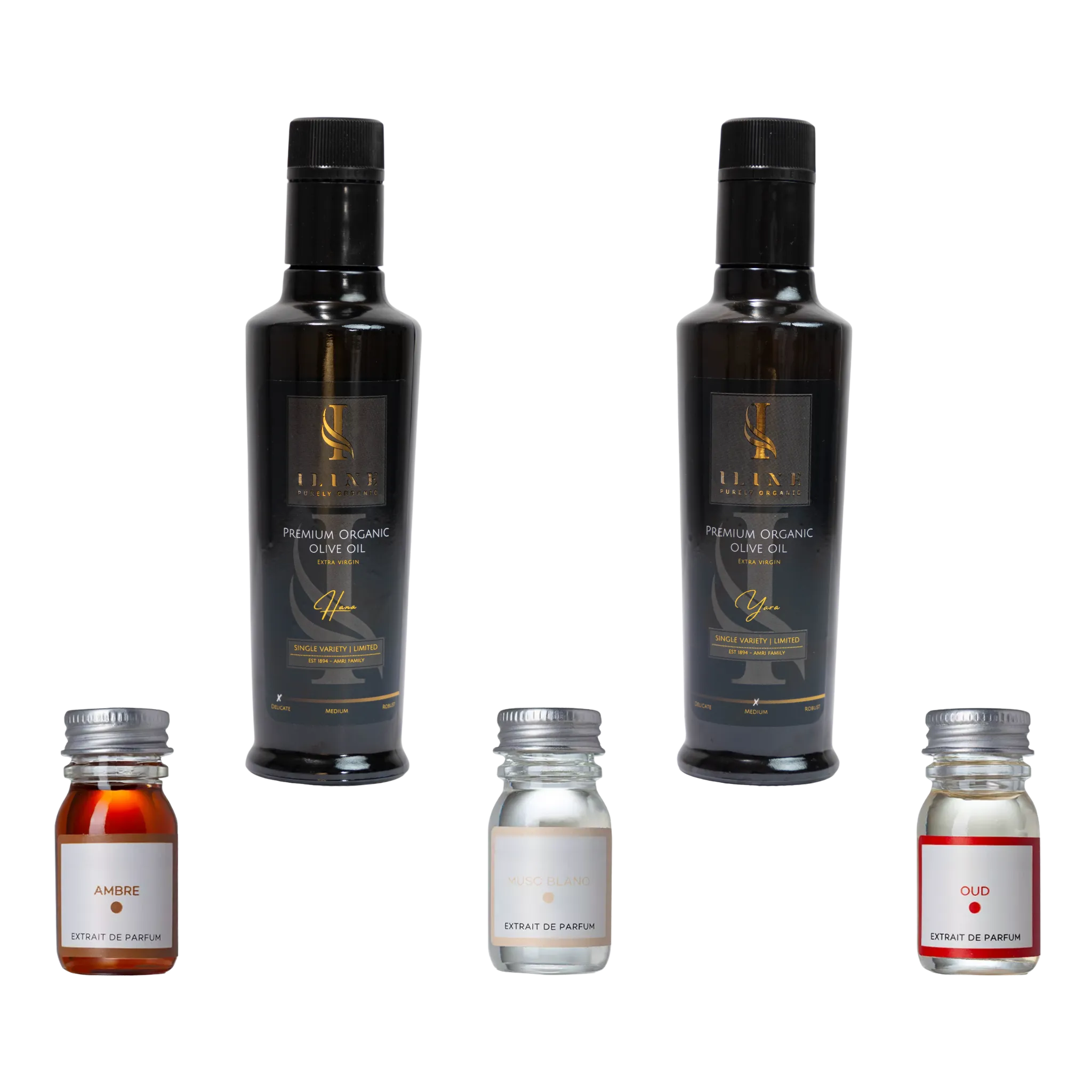 Geschenkset „The Element“ mit 2×500 ml Bio-Olivenöl (Yara, Dalia) und 3 Parfums: Ambre, Musc, Oud