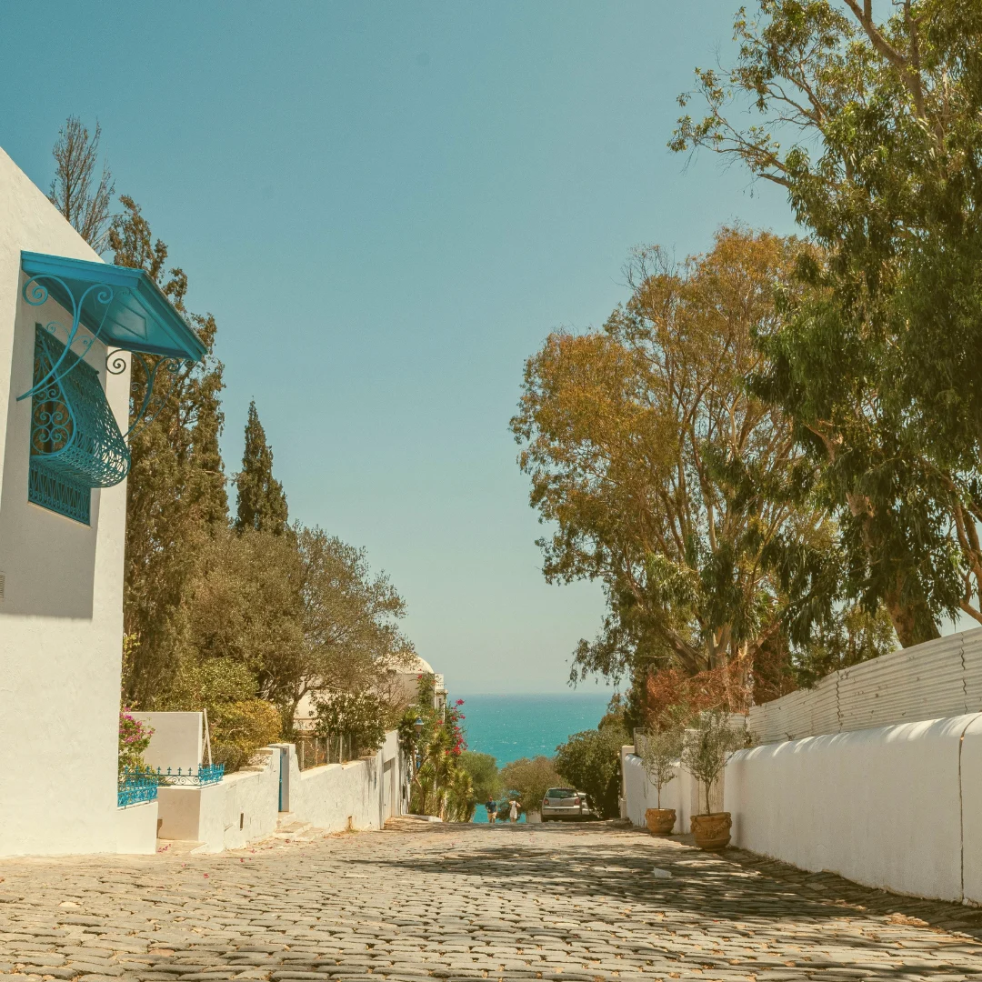 Mittelmeerblick von einer ruhigen, gepflasterten Straße in Sidi Bou Said, einem traditionellen Küstendorf in Tunesien mit weißen Fassaden und blauen Fenstern