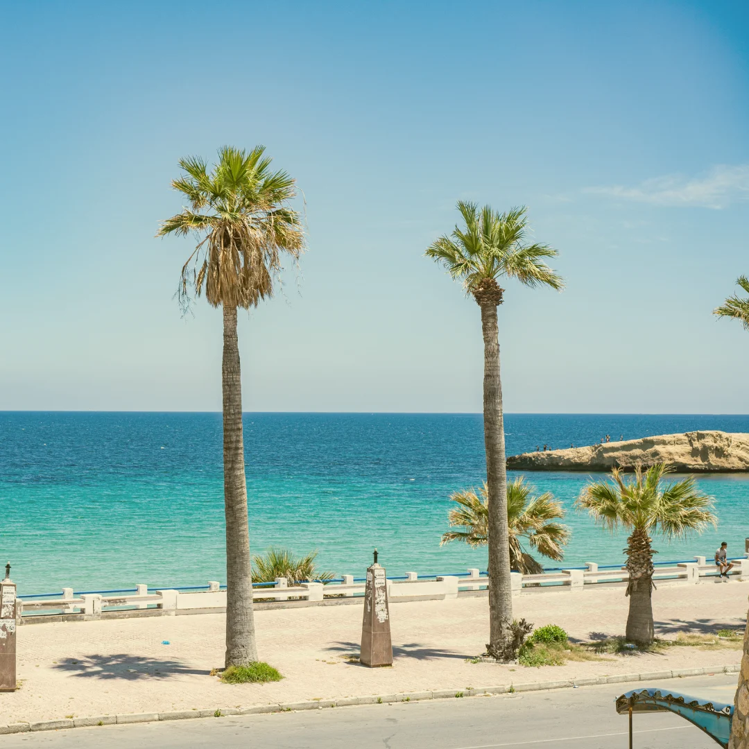 Palmenpromenade mit Blick auf das türkisfarbene Mittelmeer und eine felsige Küstenlandschaft unter klarem, blauem Himmel – sonniger Tag am Strand, mediterrane Stimmung.
