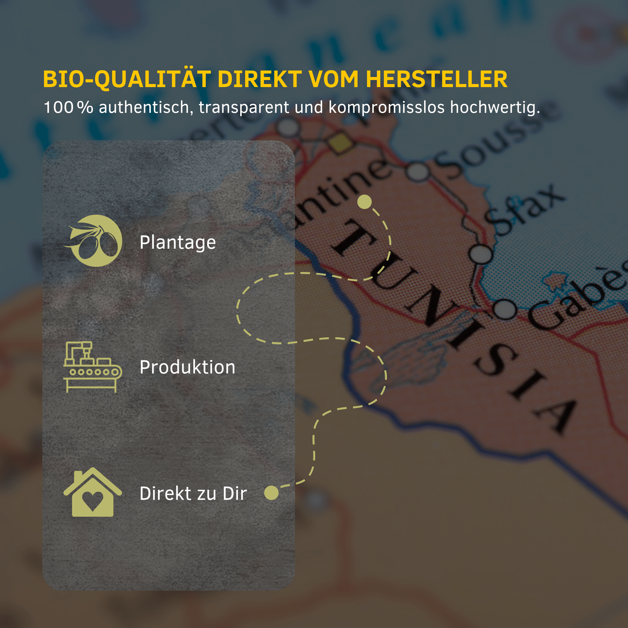Karte von Tunesien mit Wegmarken: Plantage, Produktion und Lieferung – der direkte Weg von Iline Organic zu dir.