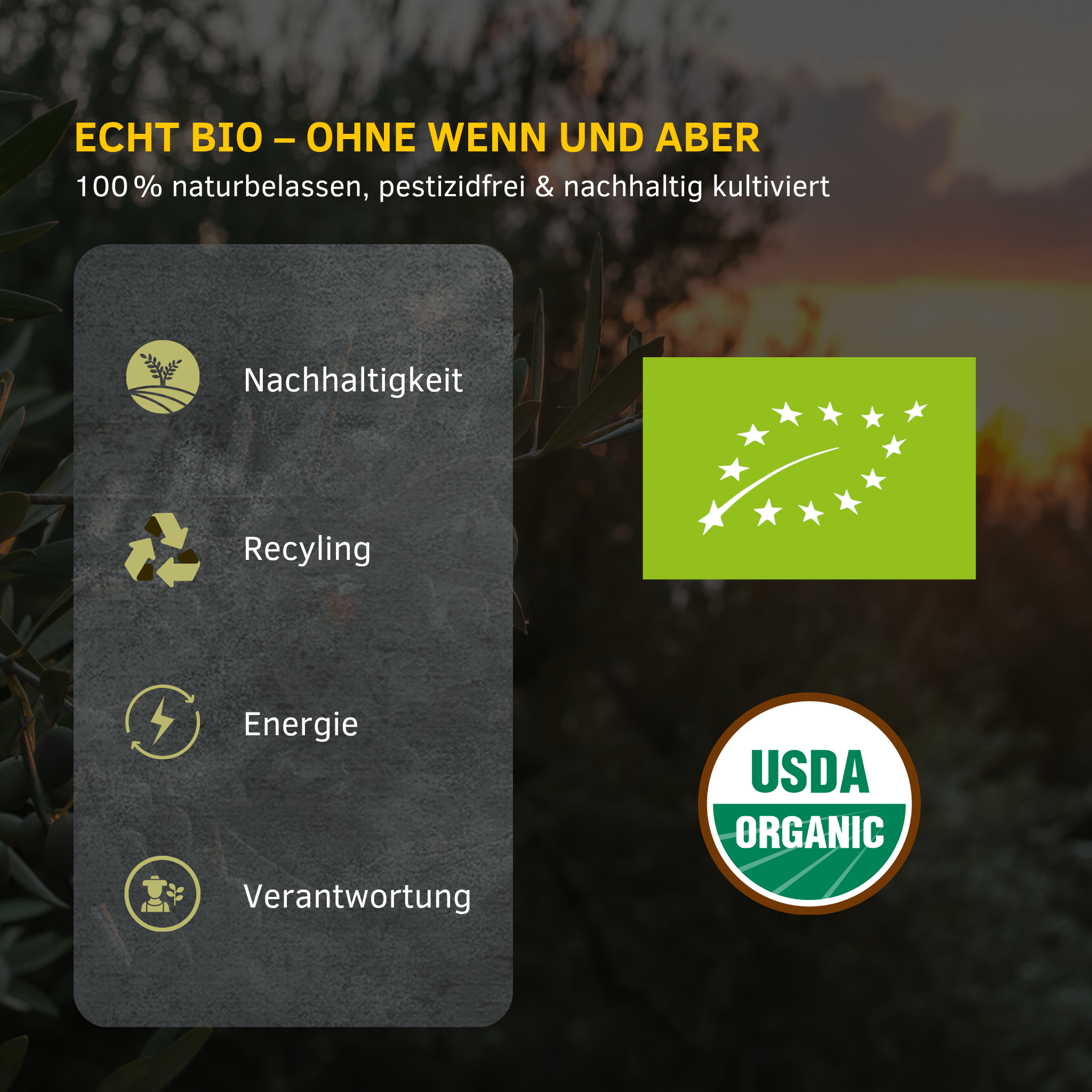 Nachhaltig produziertes Iline Organic Olivenöl mit EU-Bio- und USDA-Organic-Zertifizierung – 100 % naturbelassen, pestizidfrei und verantwortungsvoll hergestellt.